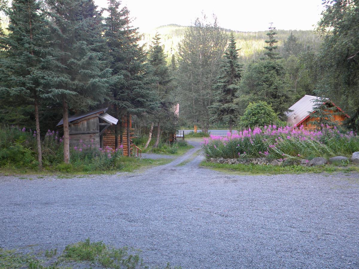 Midnight Sun Log Cabins Vila Moose Pass Exterior foto