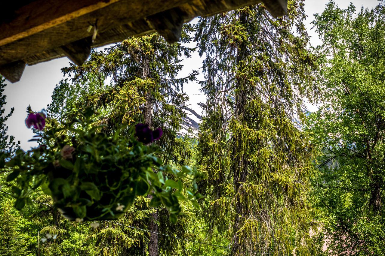 Midnight Sun Log Cabins Vila Moose Pass Exterior foto