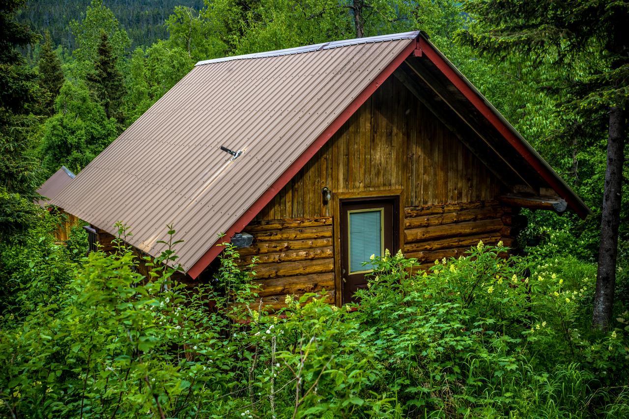 Midnight Sun Log Cabins Vila Moose Pass Exterior foto