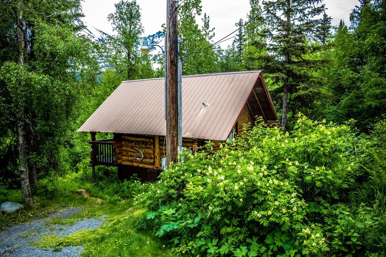 Midnight Sun Log Cabins Vila Moose Pass Exterior foto