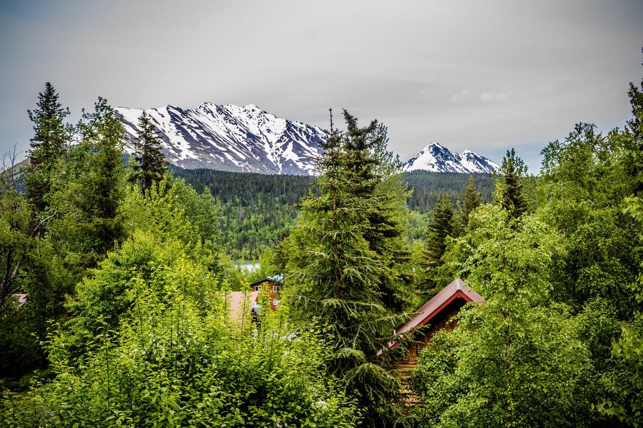 Midnight Sun Log Cabins Vila Moose Pass Exterior foto