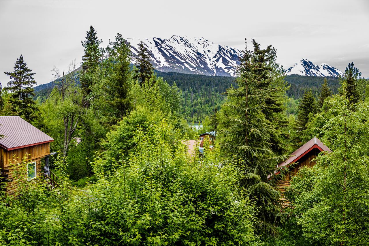 Midnight Sun Log Cabins Vila Moose Pass Exterior foto